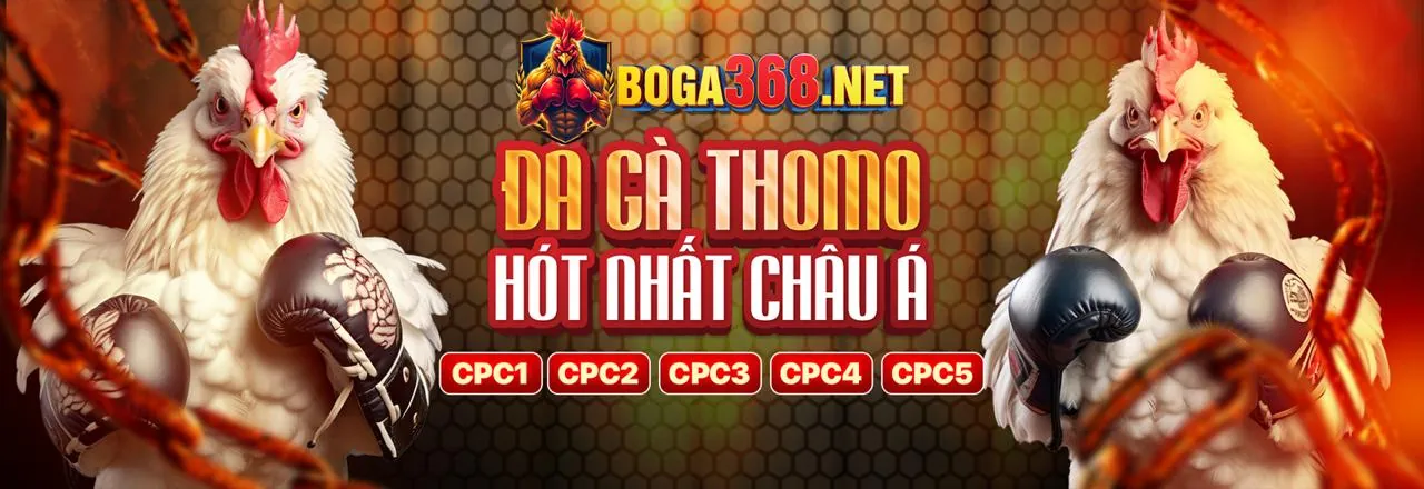 Chính sách cookie 123b bảo mật thông tin người dùng
