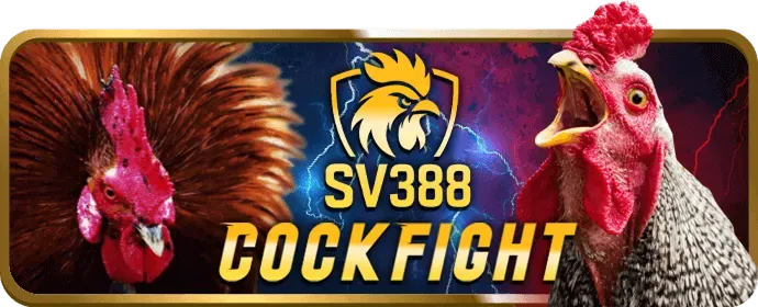 Cách chơi game Tài Xỉu trực tuyến tại 123b casino